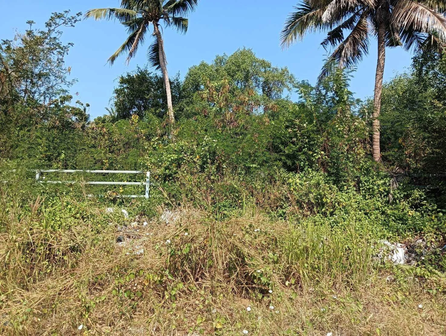 ZSK025 ขายที่ดินพร้อมสิ่งปลูกสร้าง 3-0-46 ไร่ - image 7