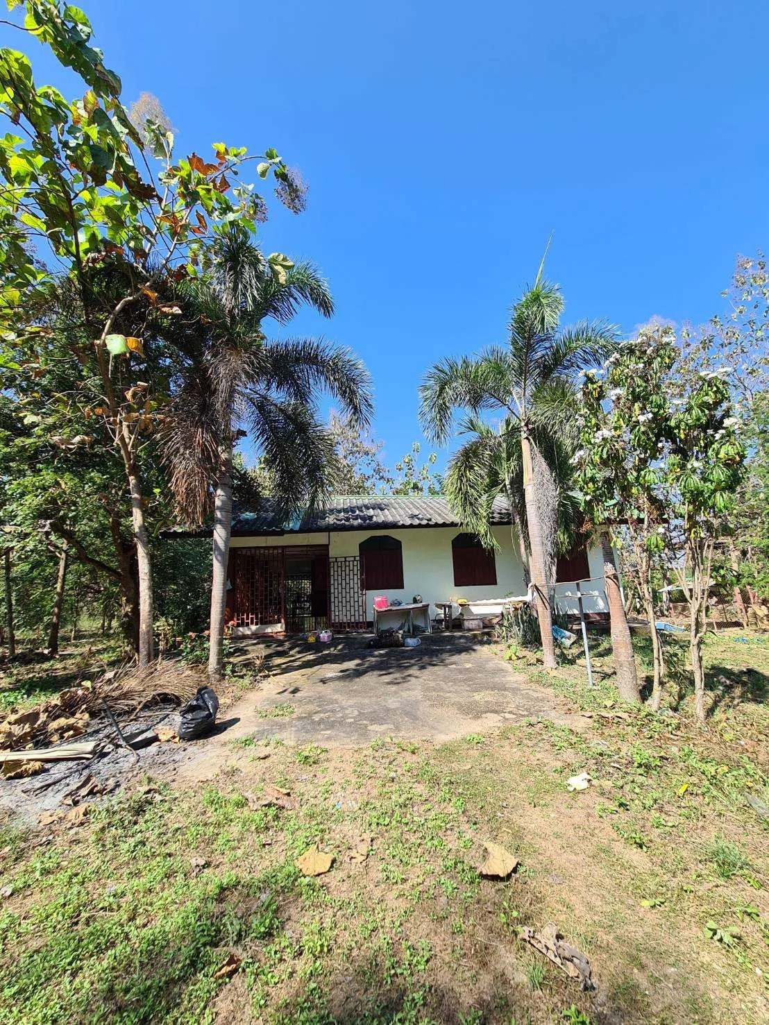 ZSK026 ขายที่ดินพร้อมบ้าน 2-2-98 ไร่ - image 5