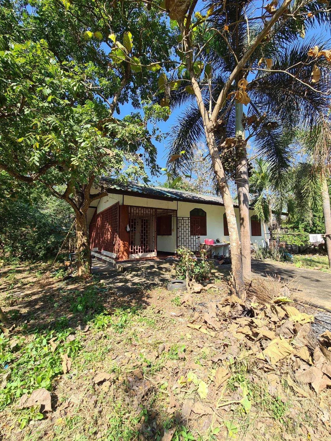 ZSK026 ขายที่ดินพร้อมบ้าน 2-2-98 ไร่ - image 6