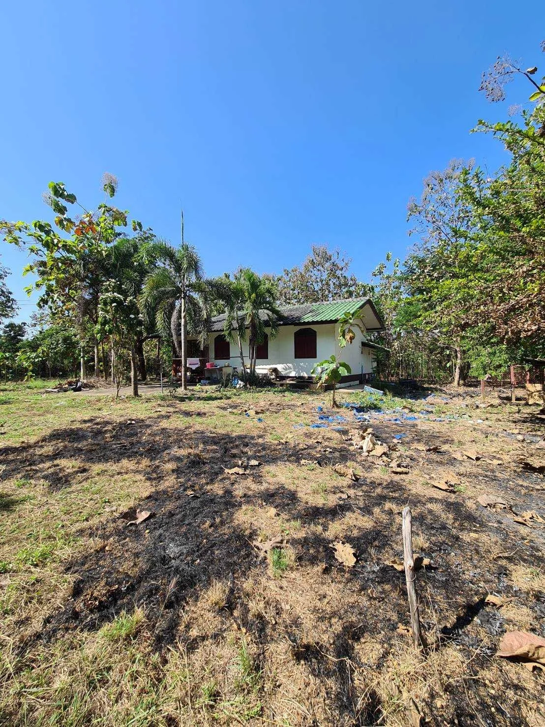 ZSK026 ขายที่ดินพร้อมบ้าน 2-2-98 ไร่ - image 7