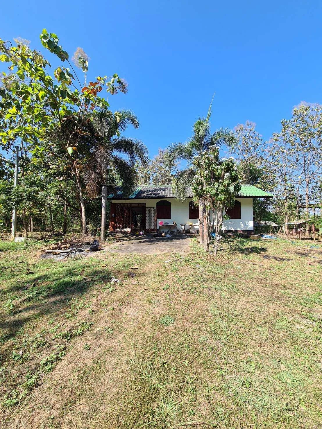 ZSK026 ขายที่ดินพร้อมบ้าน 2-2-98 ไร่ - image 8