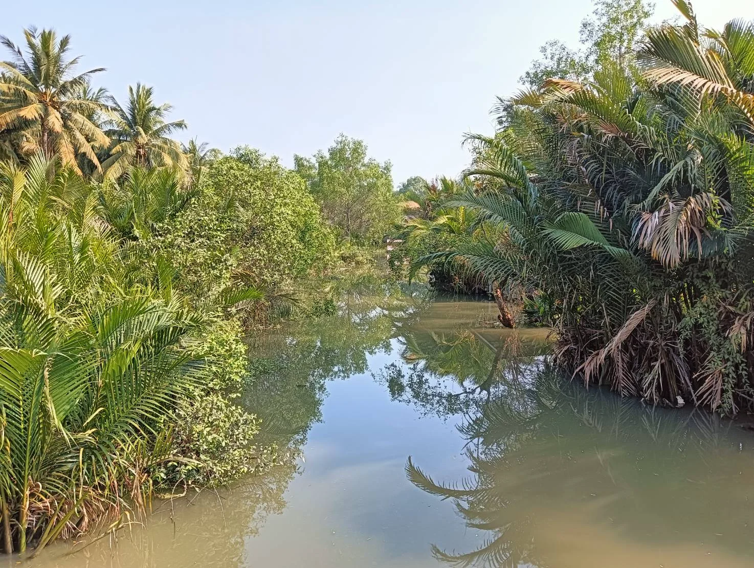 ZSK028 ขายที่ดินสวนมะพร้าว 2 ไร่ - image 7