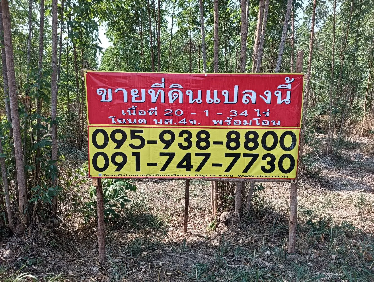 ZSK030 ขายที่ดินสวนยูคาลิปตัส 20-1-34 - image 5