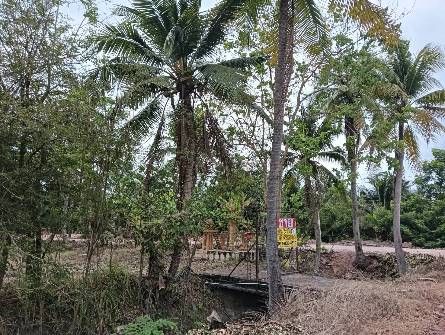 ZSK031 บ้านพร้อมที่ดิน 3-0-17 ไร่ - image 3