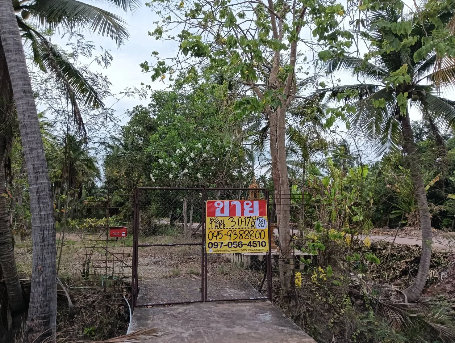 ZSK031 บ้านพร้อมที่ดิน 3-0-17 ไร่ - image 4