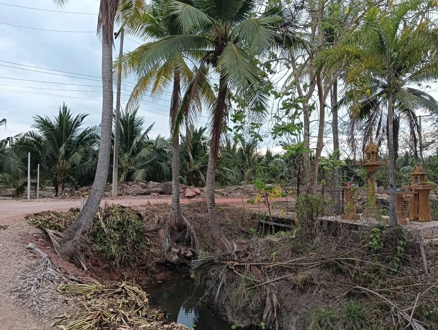 ZSK031 บ้านพร้อมที่ดิน 3-0-17 ไร่ - image 5