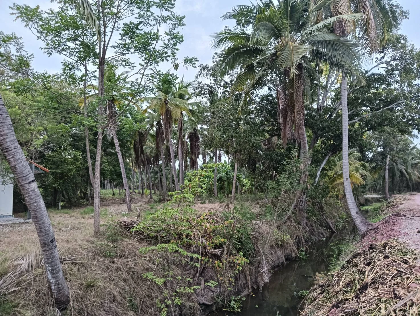 ZSK031 บ้านพร้อมที่ดิน 3-0-17 ไร่ - image 6