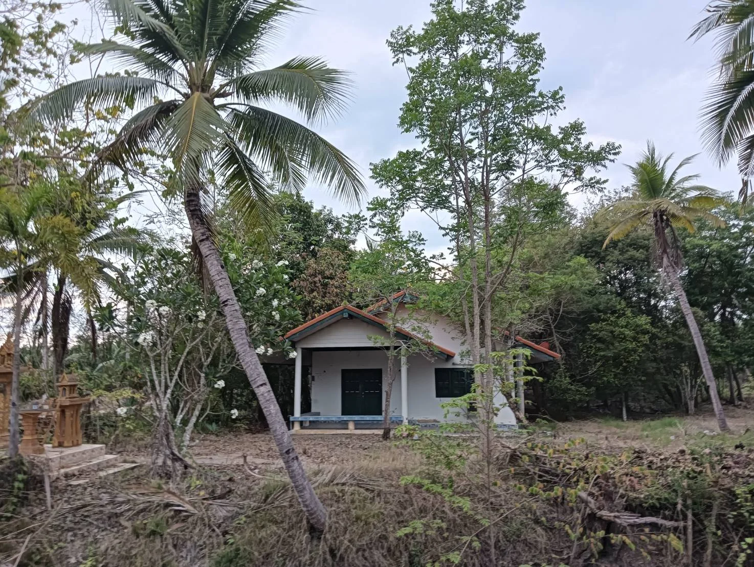 ZSK031 บ้านพร้อมที่ดิน 3-0-17 ไร่ - image 10