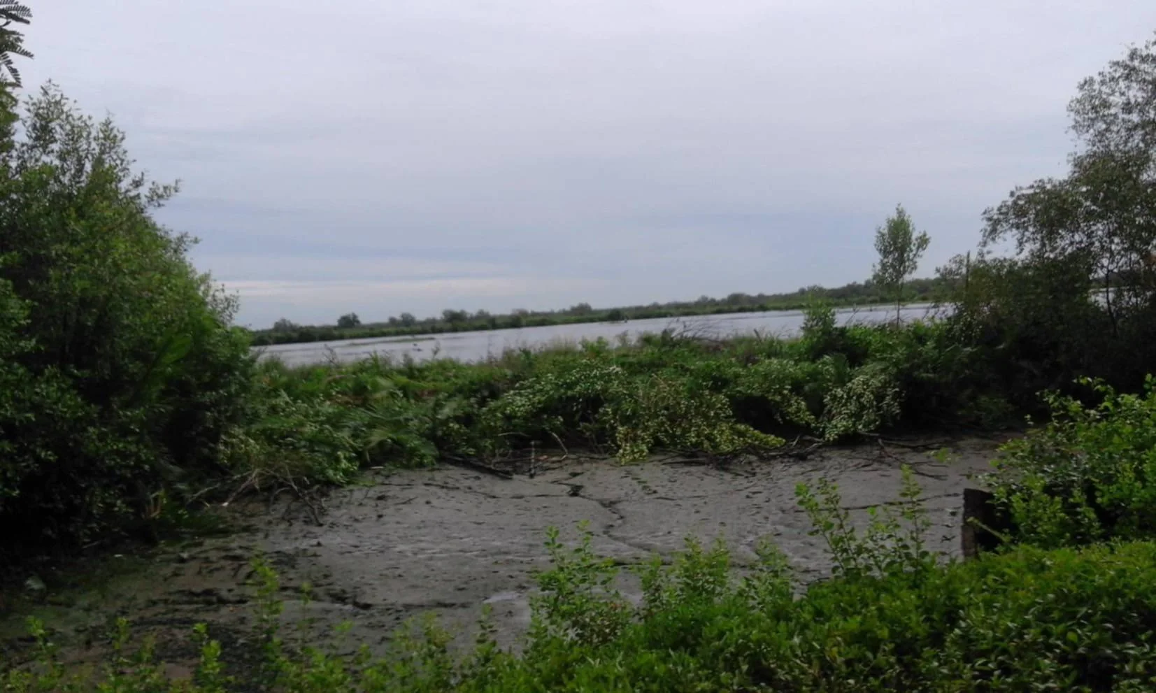 ZSK032 ขายที่ดินพร้อมบ่อเลี้ยงสัตว์น้ำ 90-3-48 ไร่ - image 2