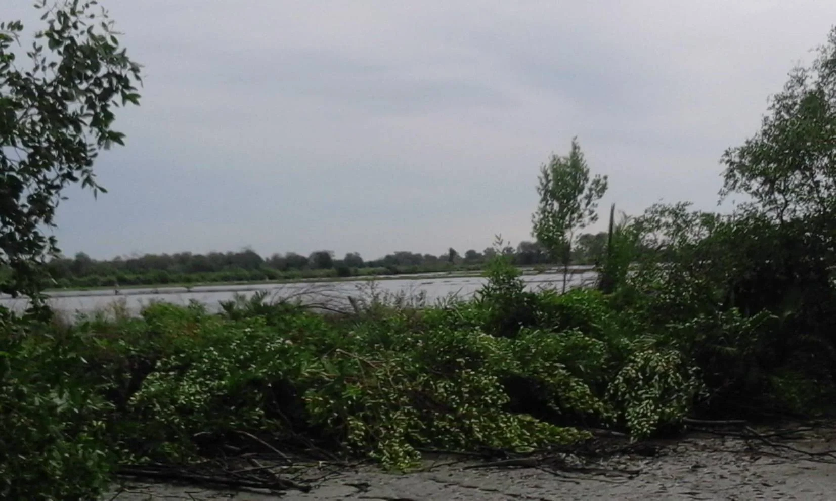 ZSK032 ขายที่ดินพร้อมบ่อเลี้ยงสัตว์น้ำ 90-3-48 ไร่ - image 5