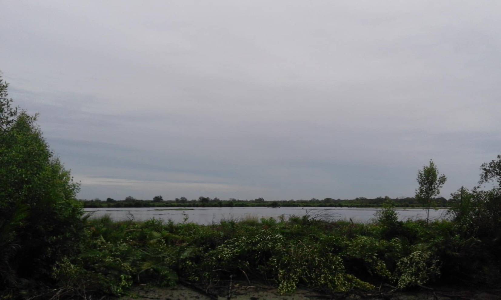 ZSK032 ขายที่ดินพร้อมบ่อเลี้ยงสัตว์น้ำ 90-3-48 ไร่ - image 6