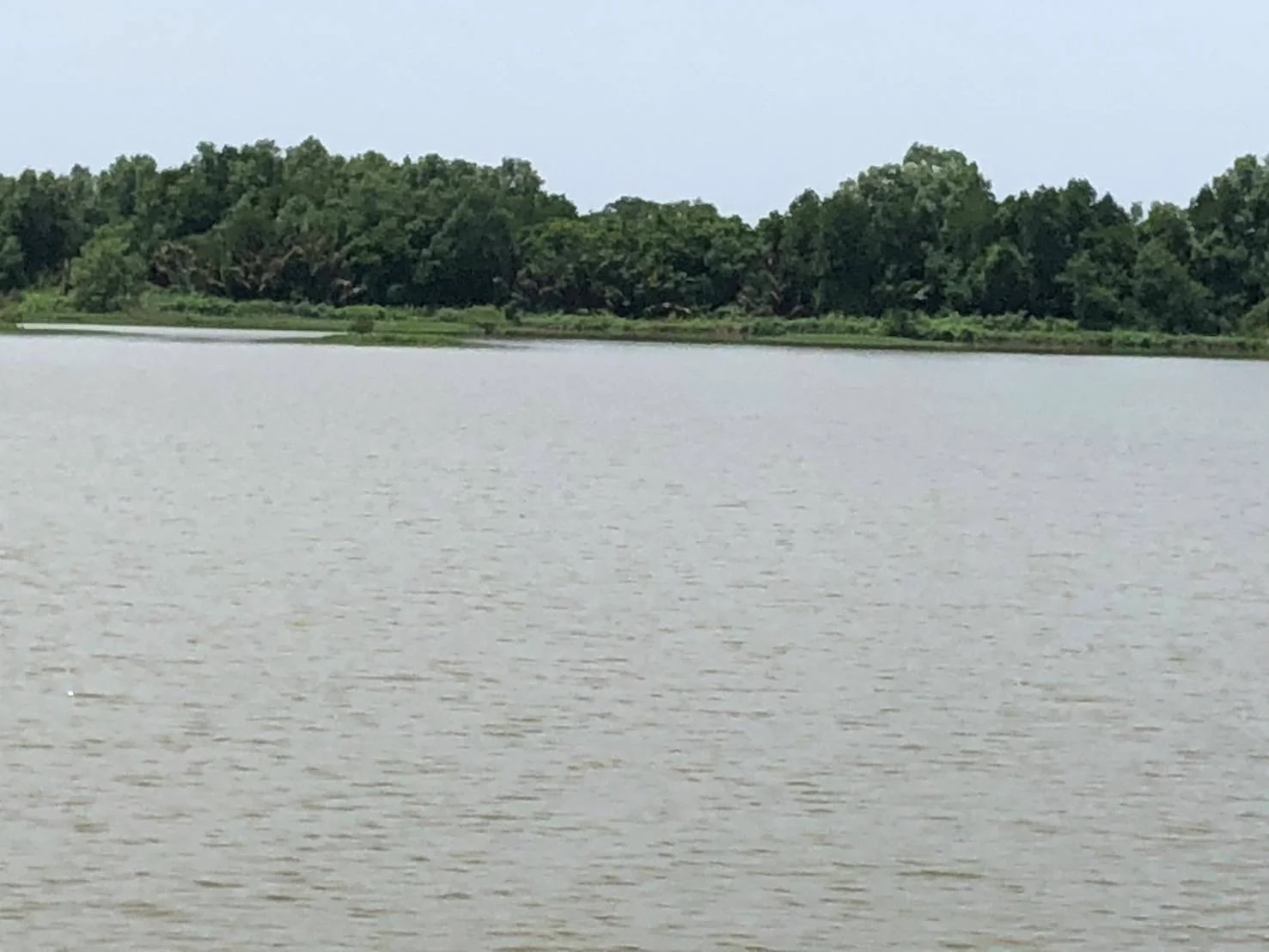 ZSK032 ขายที่ดินพร้อมบ่อเลี้ยงสัตว์น้ำ 90-3-48 ไร่ - image 7