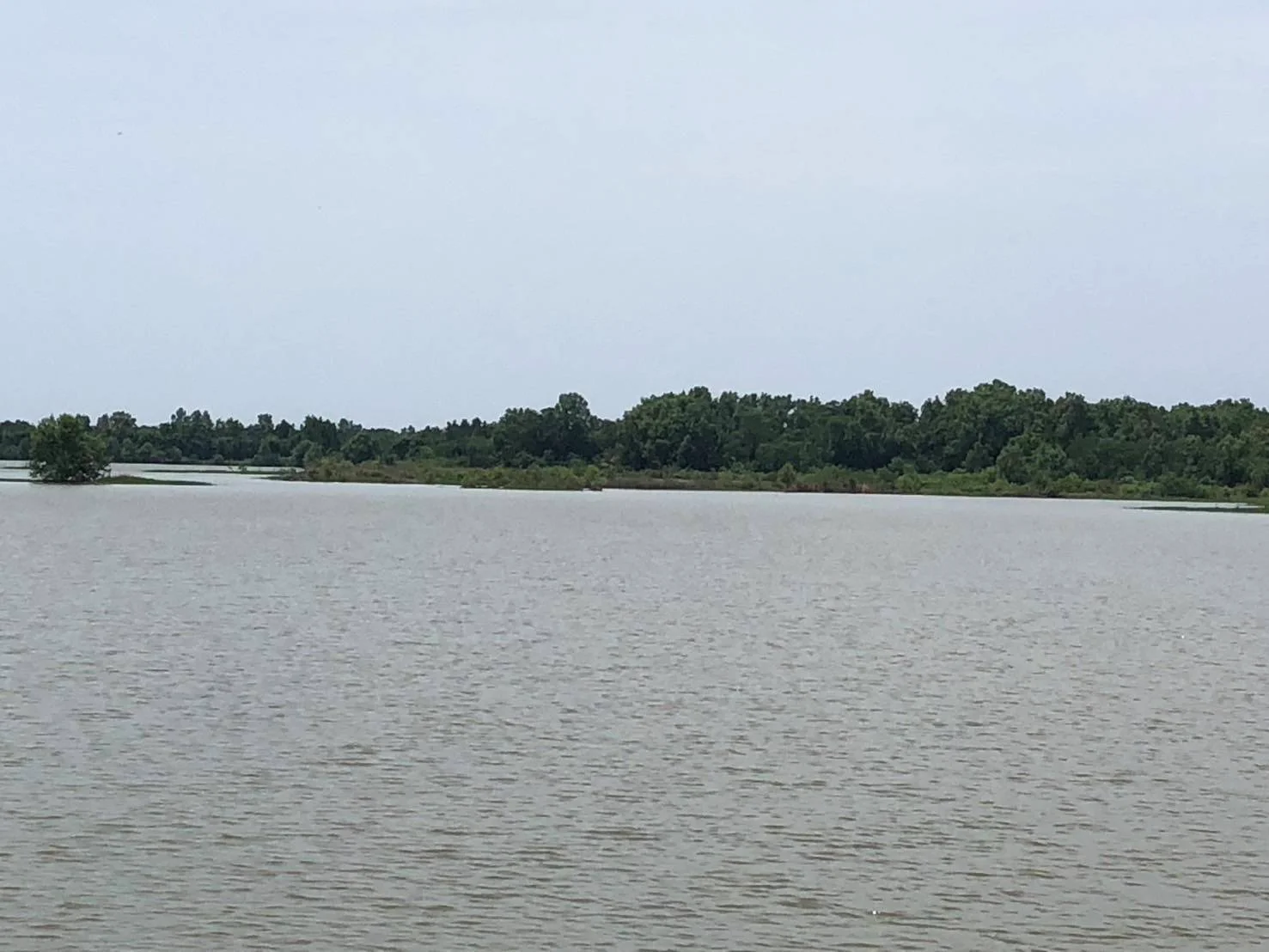 ZSK032 ขายที่ดินพร้อมบ่อเลี้ยงสัตว์น้ำ 90-3-48 ไร่ - image 8