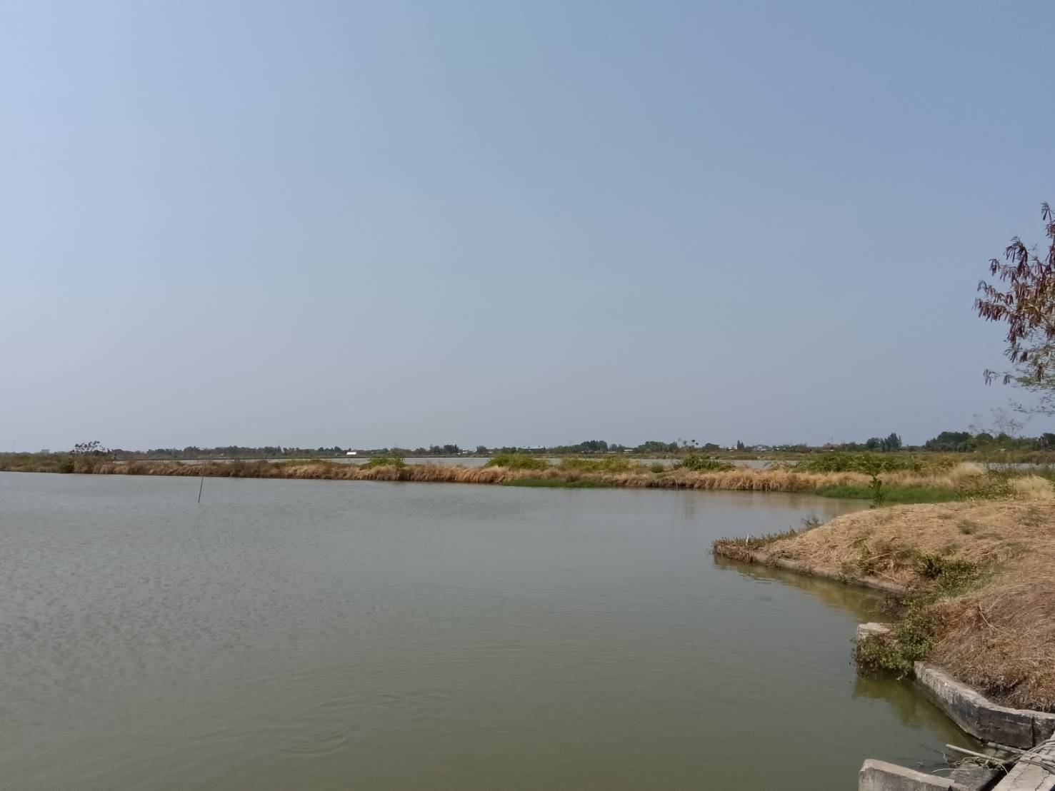 ZSK034 ขายที่ดินพร้อมสิ่งปลูกสร้างและบ่อเลี้ยงสัตว์น้ำ คลองโคน 182-3-25 ไร่ - image 4