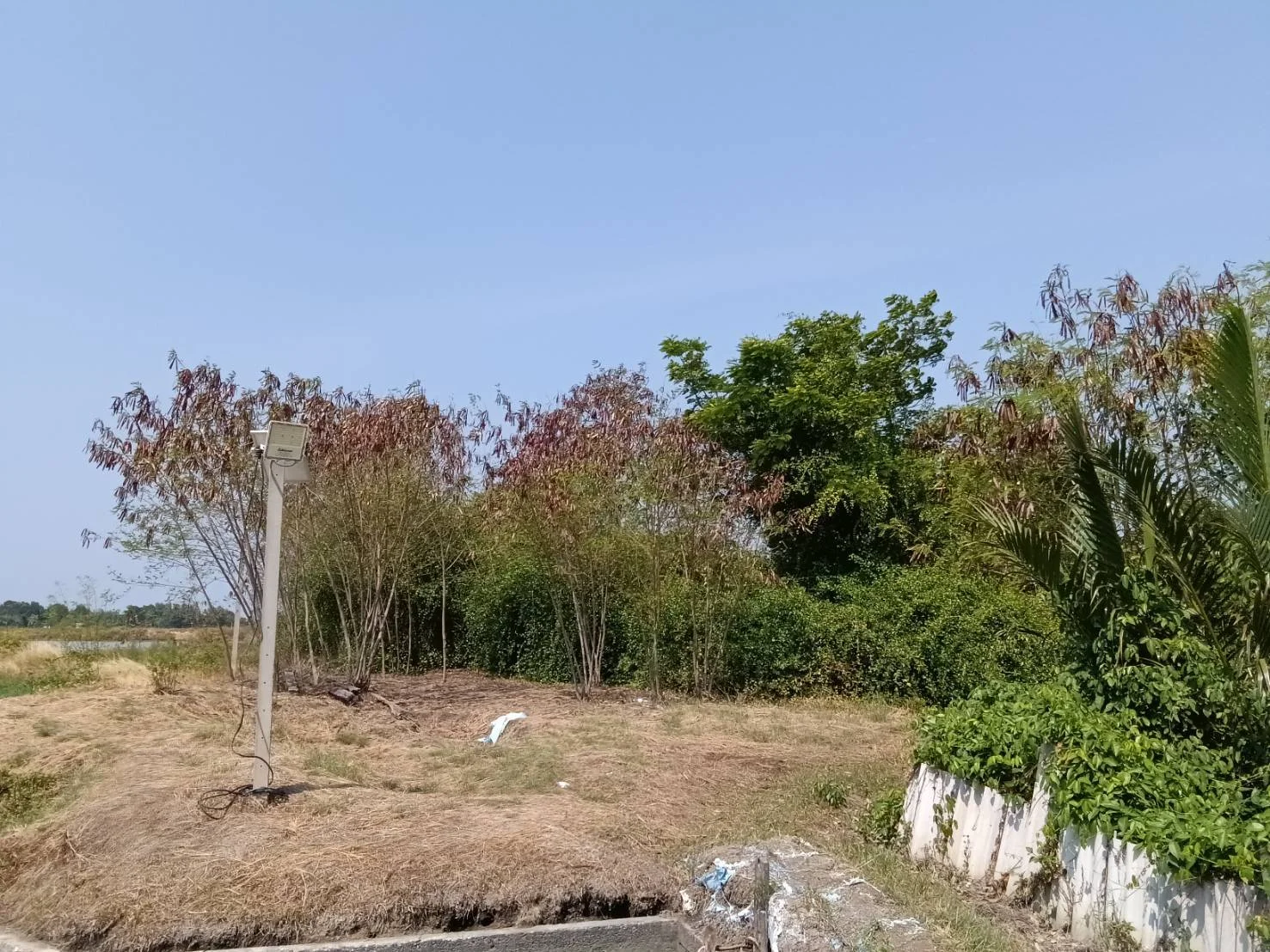 ZSK034 ขายที่ดินพร้อมสิ่งปลูกสร้างและบ่อเลี้ยงสัตว์น้ำ คลองโคน 182-3-25 ไร่ - image 5