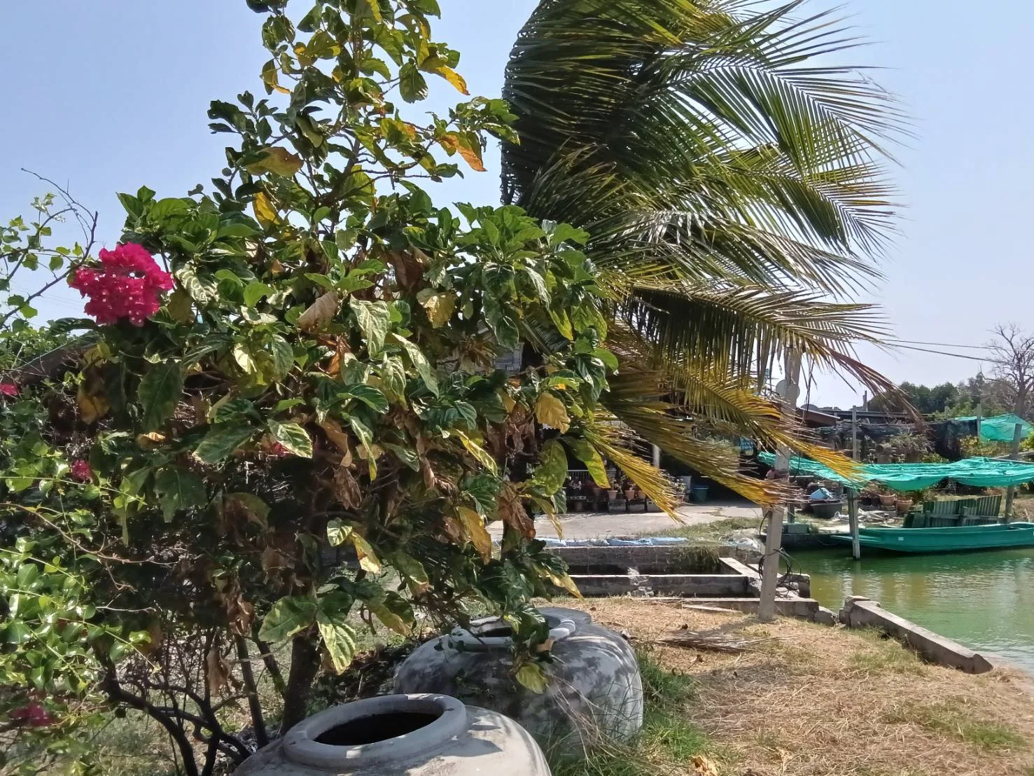 ZSK034 ขายที่ดินพร้อมสิ่งปลูกสร้างและบ่อเลี้ยงสัตว์น้ำ คลองโคน 182-3-25 ไร่ - image 2