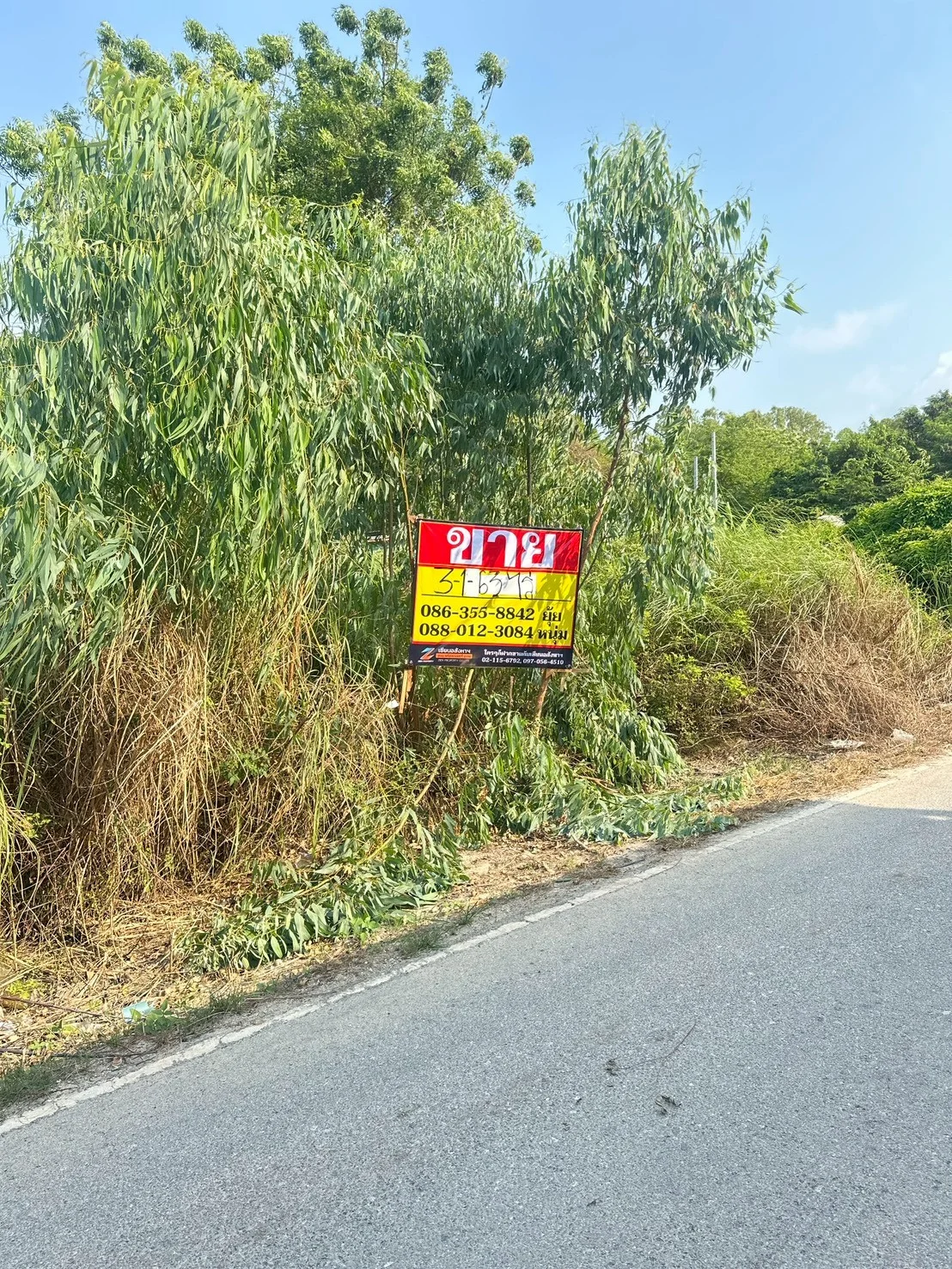 ขายที่ดิน  3-1-63 ไร่   ซอยเนินพระ 3/1  ชุมชนกรอกยายชา   เมืองระยอง  - image 2