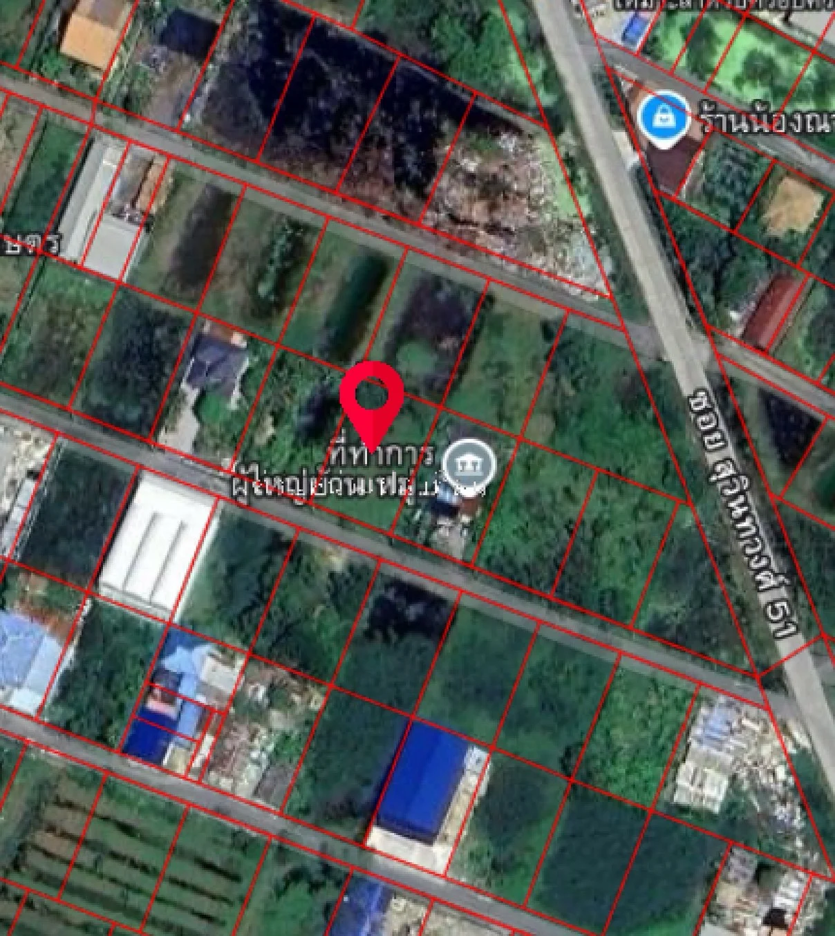 ขายที่ดิน 198 ตารางวา  ซอยสุวินทวงศ์ 51  กระทุ่มราย    หนองจอก  - image 6