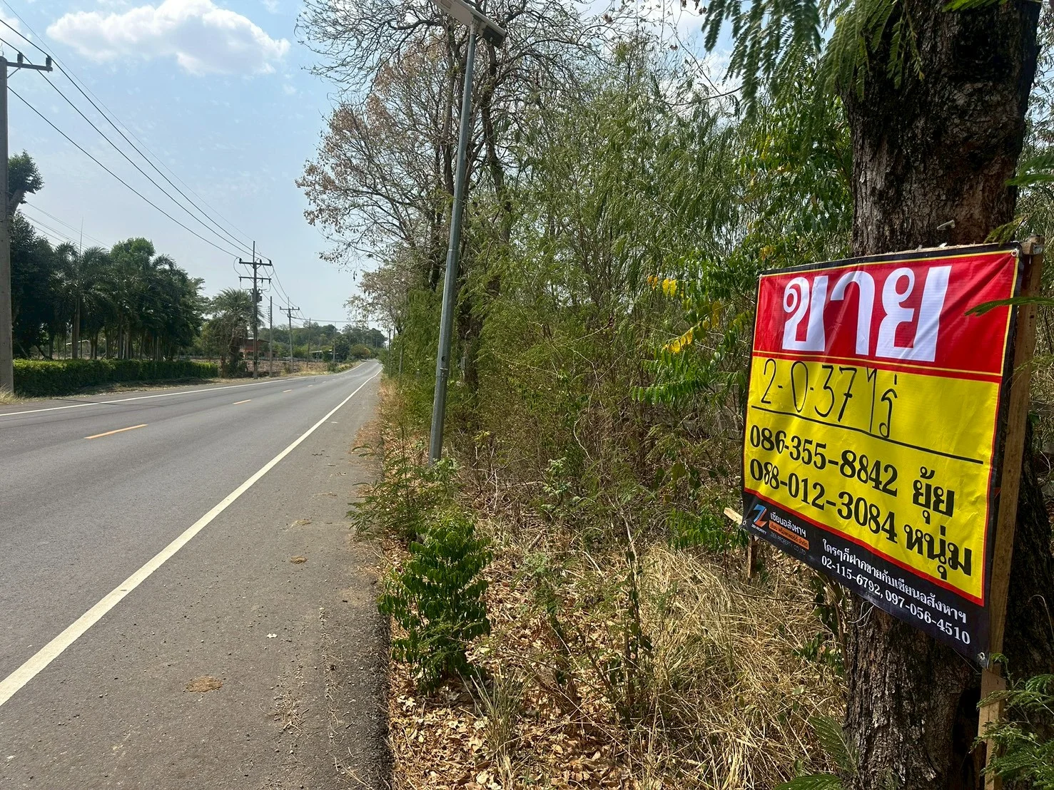 ขายที่ดิน 2-0-37 ไร่  ในโครงการปาล์ม วัลเลย์ คาเฟ่ แอนด์ ฟาร์ม  คำพราน วังม่วง สระบุรี - image 2