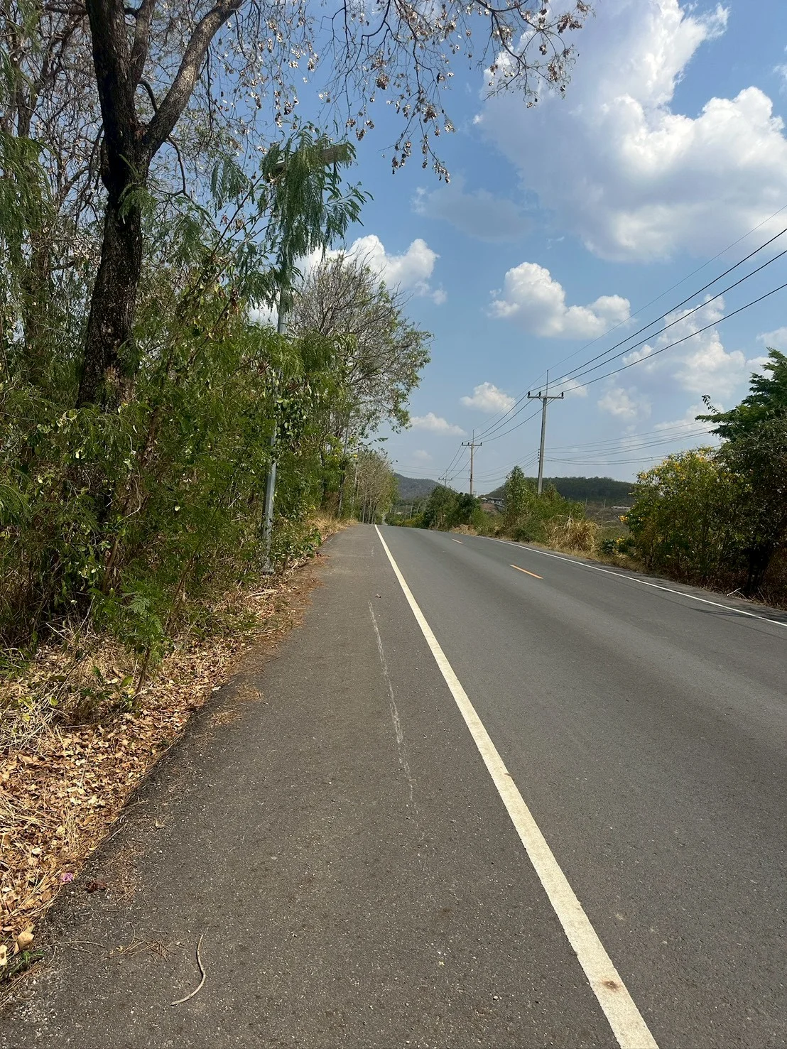 ขายที่ดิน 2-0-37 ไร่  ในโครงการปาล์ม วัลเลย์ คาเฟ่ แอนด์ ฟาร์ม  คำพราน วังม่วง สระบุรี - image 3