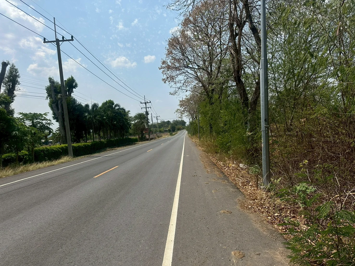 ขายที่ดิน 2-0-37 ไร่  ในโครงการปาล์ม วัลเลย์ คาเฟ่ แอนด์ ฟาร์ม  คำพราน วังม่วง สระบุรี - image 4