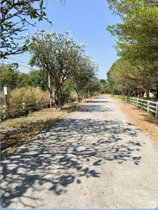 ขายที่ดิน 2-0-37 ไร่  ในโครงการปาล์ม วัลเลย์ คาเฟ่ แอนด์ ฟาร์ม  คำพราน วังม่วง สระบุรี - image 6