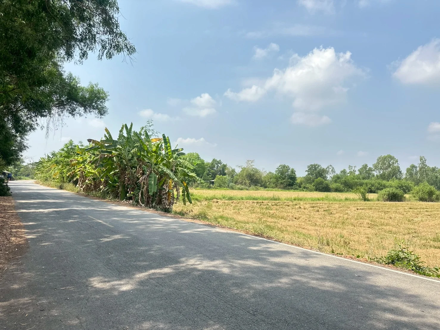 ขายที่ดิน  6-3-28 ไร่  ซอยองค์การบริหารส่วนจังหวัดนครนายก   บางสมบูรณ์   องครักษ์  นครนายก - image 2