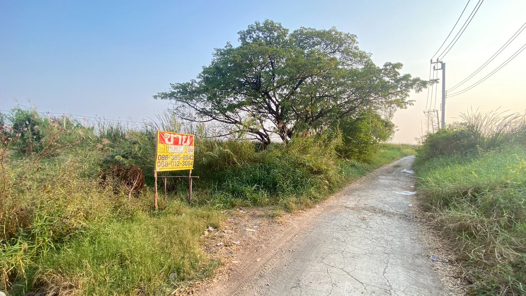 ขายที่ดินบางนา  105 ตารางวา  หลังเมกาบางนา  ฝั่งคอนโดอารียา   บางพลีใหญ่    - image 2