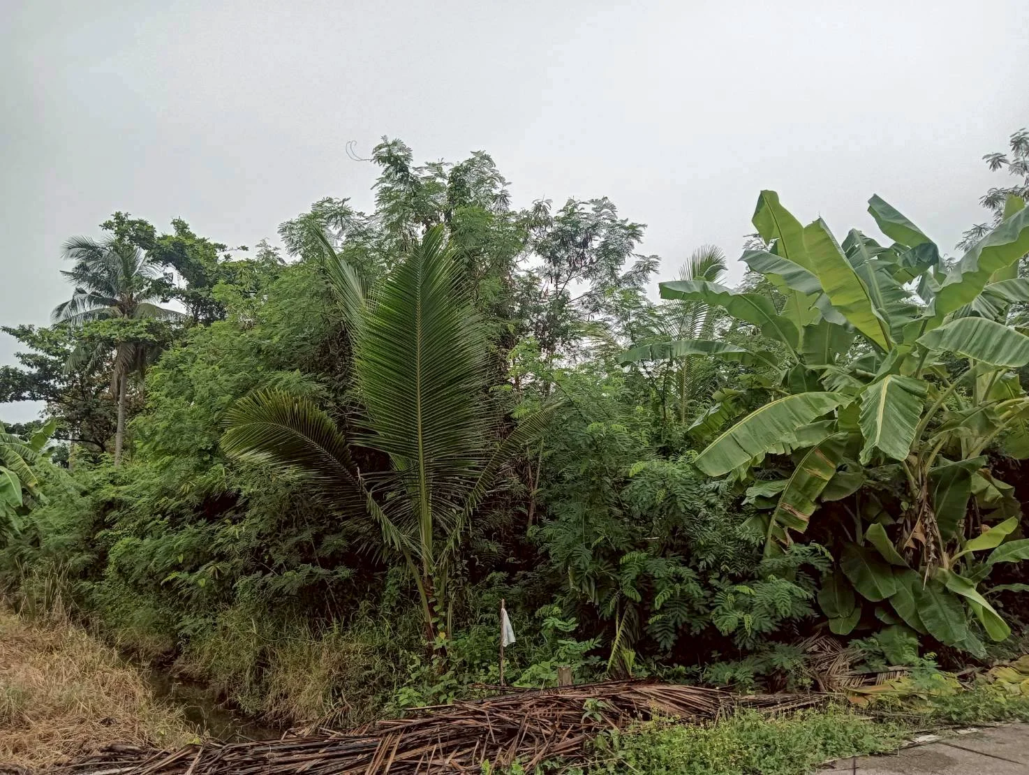 ZSK035 ขายที่ดินติดคลองขุดเล็ก 364 ตร.ว. - image 2