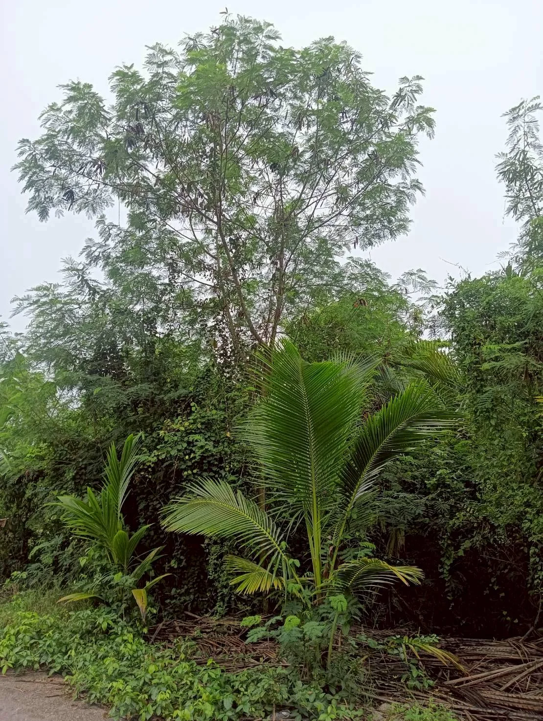 ZSK035 ขายที่ดินติดคลองขุดเล็ก 364 ตร.ว. - image 5