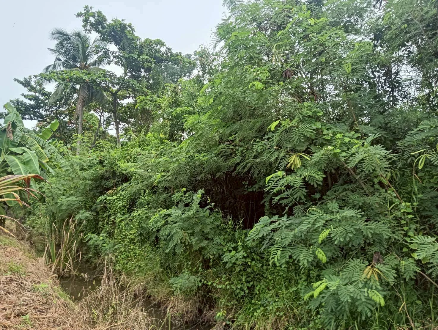 ZSK035 ขายที่ดินติดคลองขุดเล็ก 364 ตร.ว. - image 7