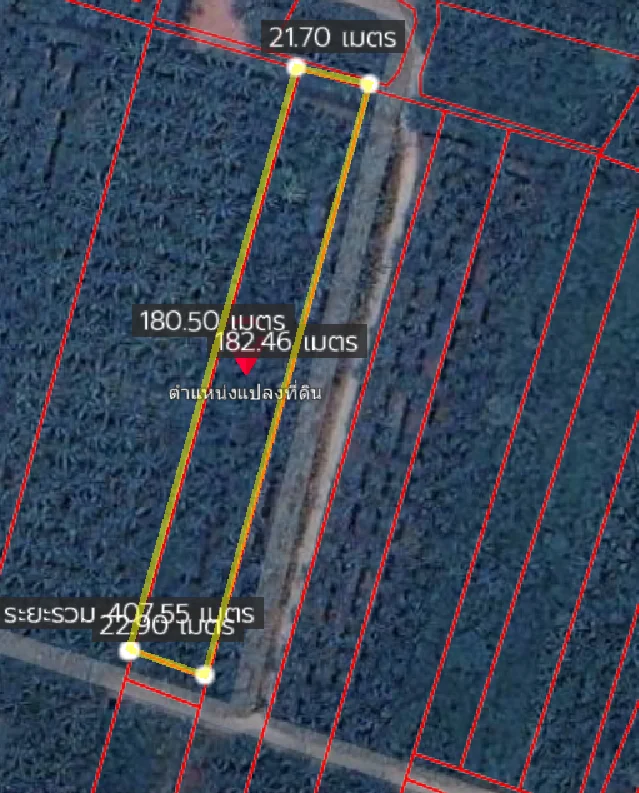 ZSK036 ขายที่่ดินสวนมะพร้าวอัมพวา 2-2-28 ไร่ (คลองขุดเล็ก) - image 8