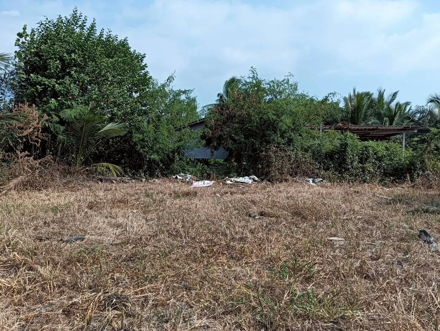 ZSK037 ขายที่ดินตำบลนางตะเคียน  200 ตร.ว. - image 4