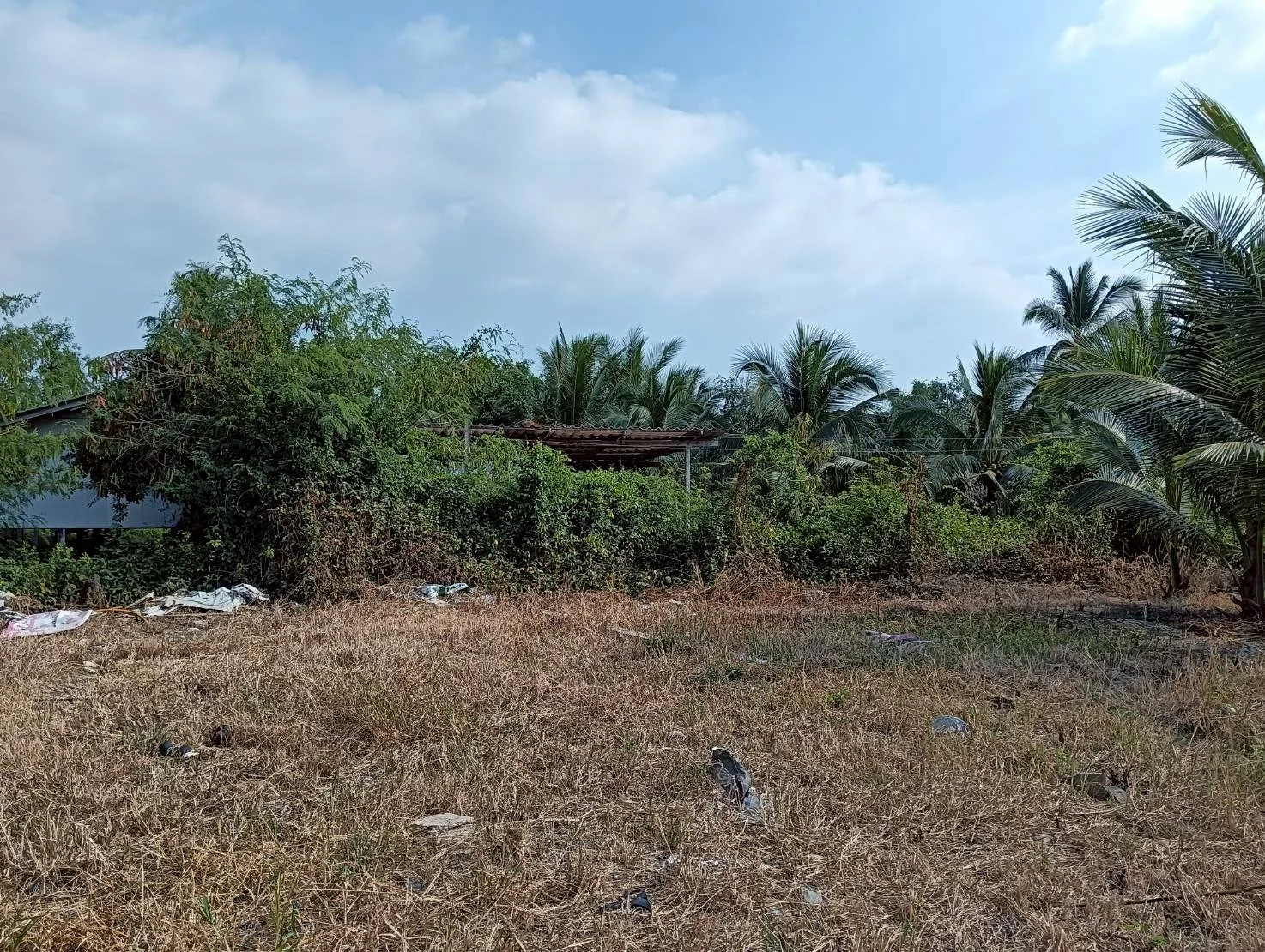 ZSK037 ขายที่ดินตำบลนางตะเคียน  200 ตร.ว. - image 7