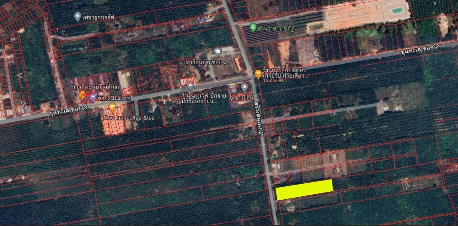 ขายที่ดิน 4-0-13 ไร่  ถนนสร้างตนเอง2  ต.มะขามเตี้ย อ.เมือง จ.สุราษฎร์ธานี   - image 5