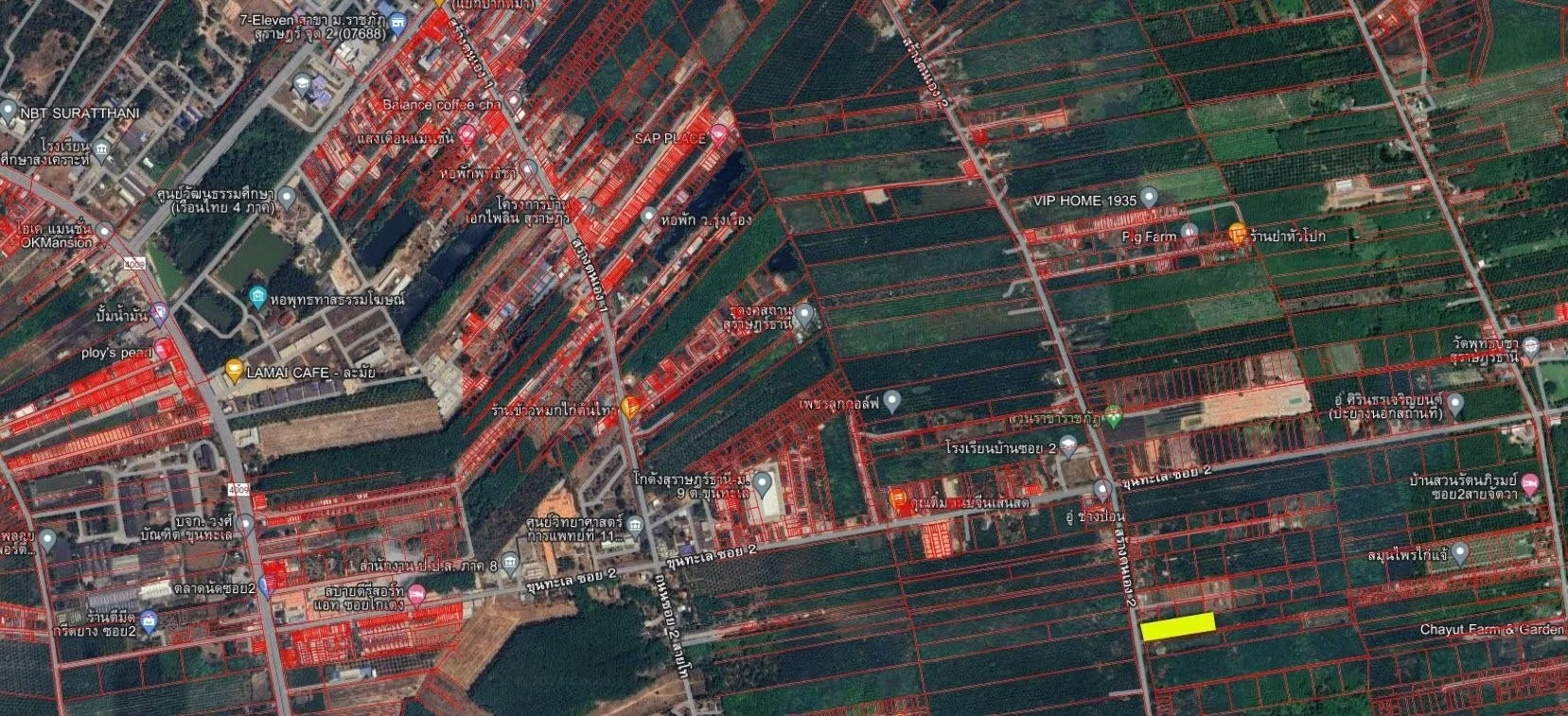 ขายที่ดิน 4-0-13 ไร่  ถนนสร้างตนเอง2  ต.มะขามเตี้ย อ.เมือง จ.สุราษฎร์ธานี   - image 6