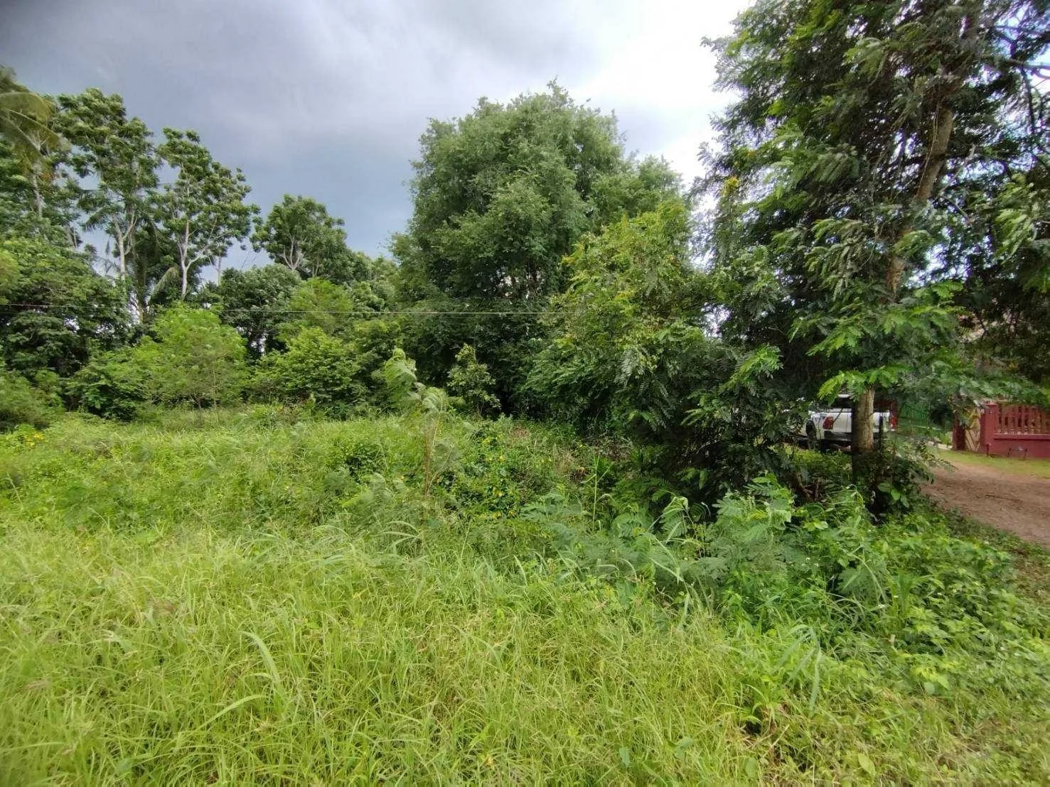 ขายที่ดิน 4-0-13 ไร่  ถนนสร้างตนเอง2  ต.มะขามเตี้ย อ.เมือง จ.สุราษฎร์ธานี   - image 2