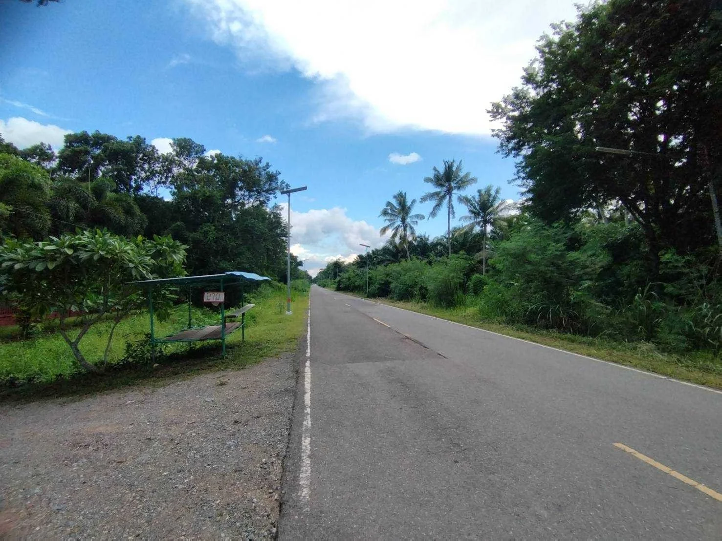 ขายที่ดิน 4-0-13 ไร่  ถนนสร้างตนเอง2  ต.มะขามเตี้ย อ.เมือง จ.สุราษฎร์ธานี   - image 3