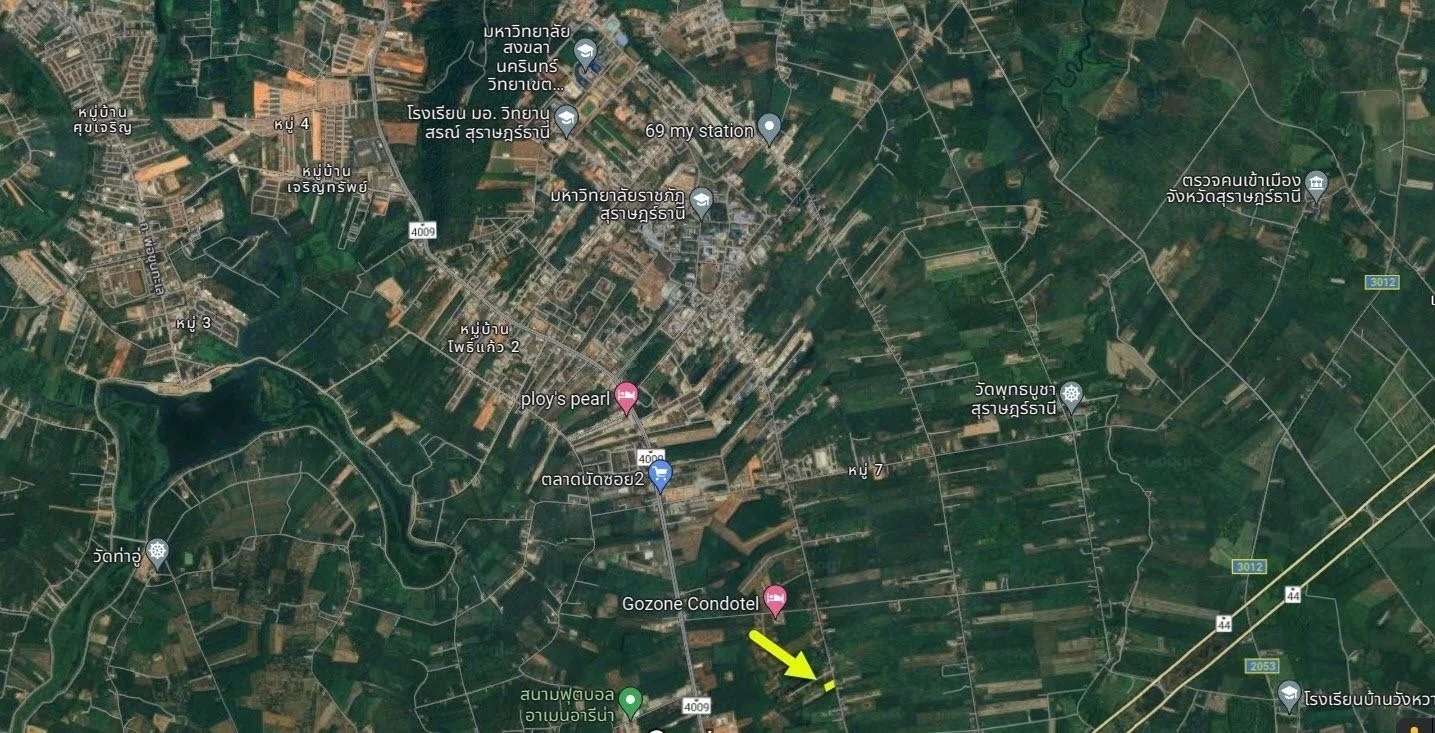 ขายบ้านสวย 63 ตารางวา  โชคอำนวย โฮม  ขุนทะเลซอย3  มะขามเตี้ย  เมืองสุราษฎร์ธานี      - image 9