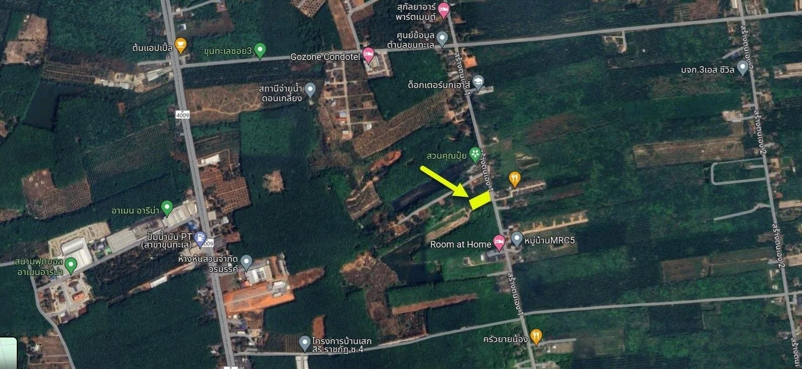 ขายบ้านสวย 63 ตารางวา  โชคอำนวย โฮม  ขุนทะเลซอย3  มะขามเตี้ย  เมืองสุราษฎร์ธานี      - image 8