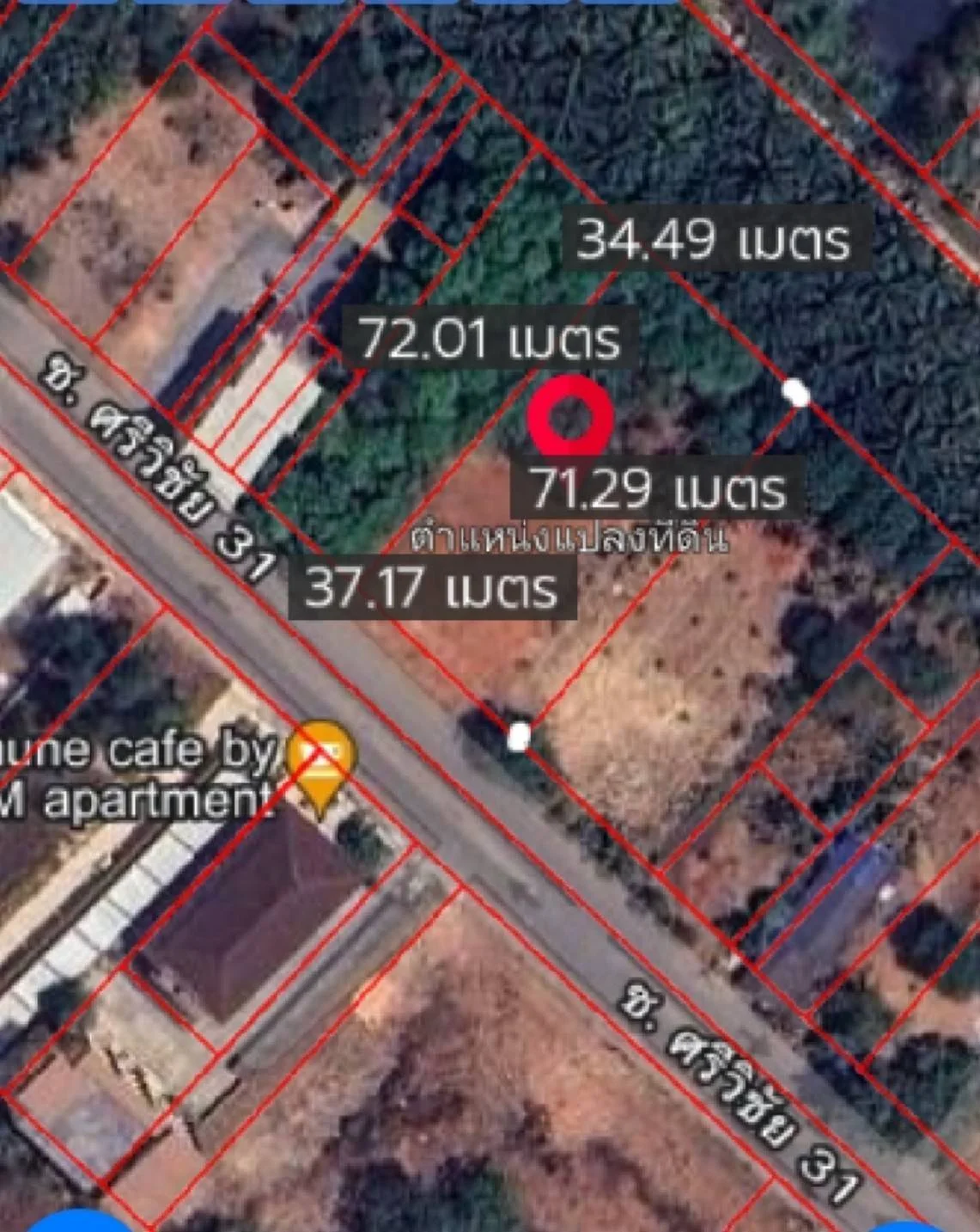 ขายที่ดิน 1-2-55 ไร่  ใกล้ มอ.วิทยาเขตสุราษฎร์ธานี  ขุนทะเล   เมืองสุราษฎร์ธานี     - image 4