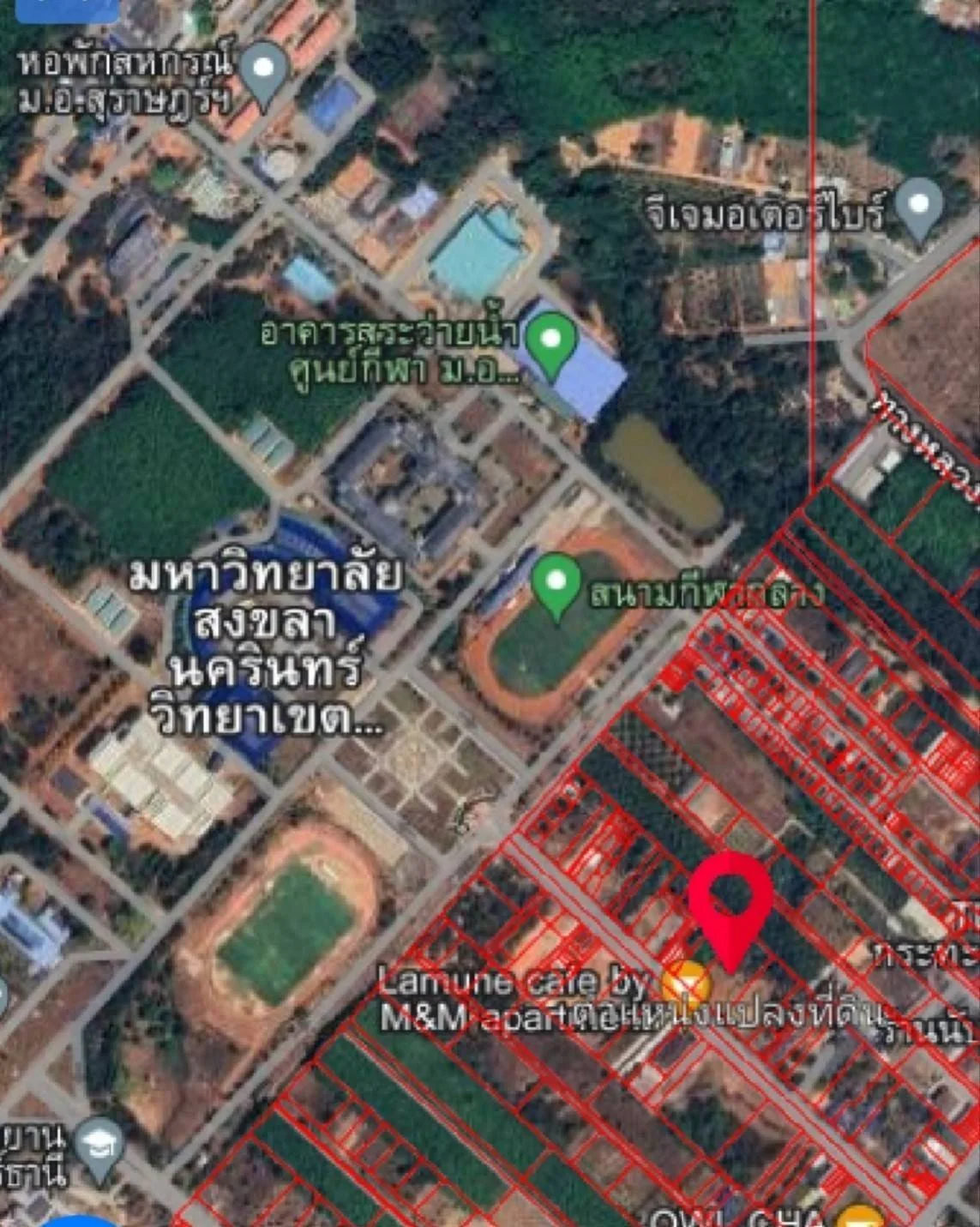 ขายที่ดิน 1-2-55 ไร่  ใกล้ มอ.วิทยาเขตสุราษฎร์ธานี  ขุนทะเล   เมืองสุราษฎร์ธานี     - image 5