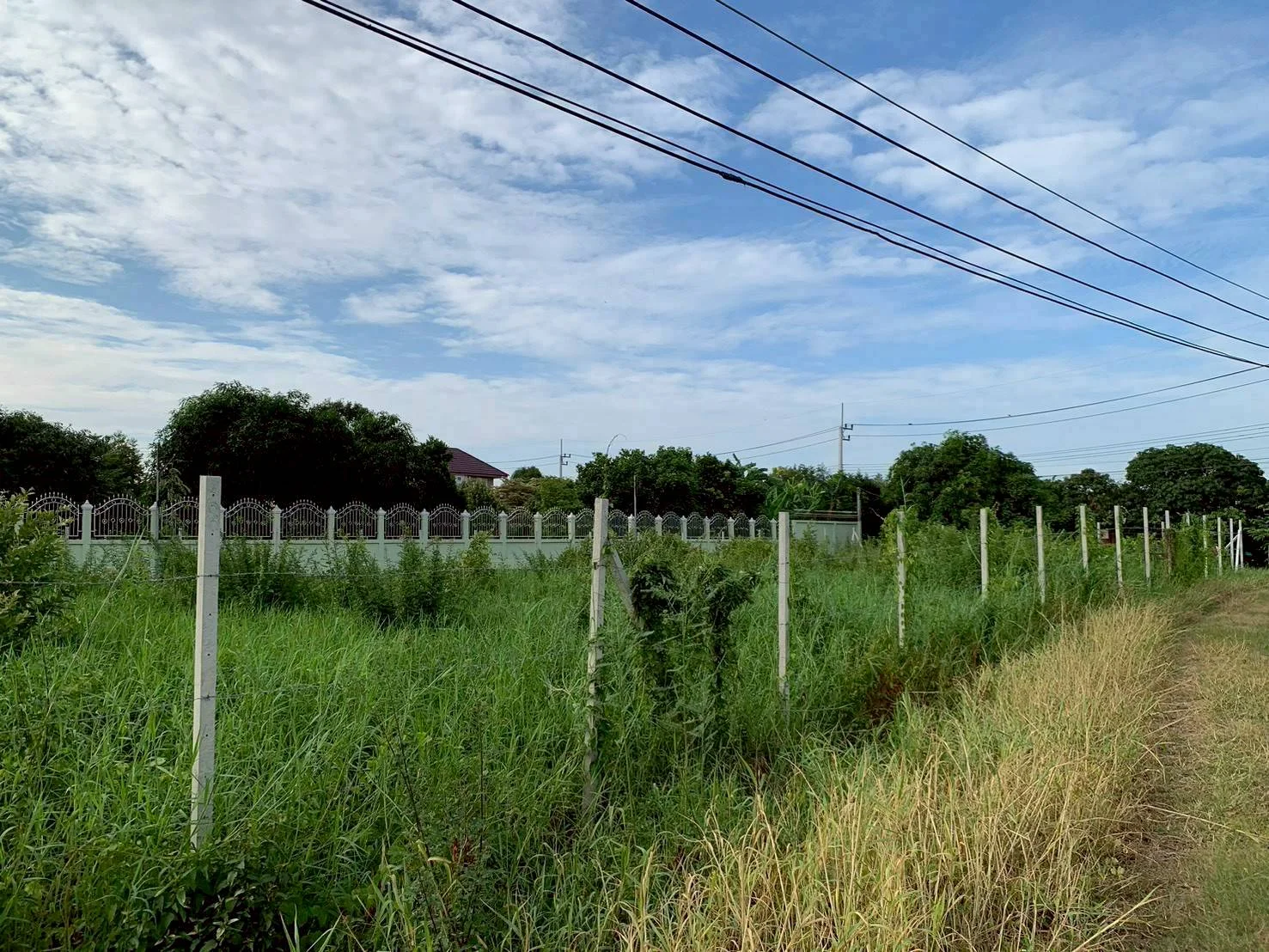 ZSK039 ขายที่่ดินติดแม่น้ำเจ้าพระยา 1-1-74 ไร่ - image 5