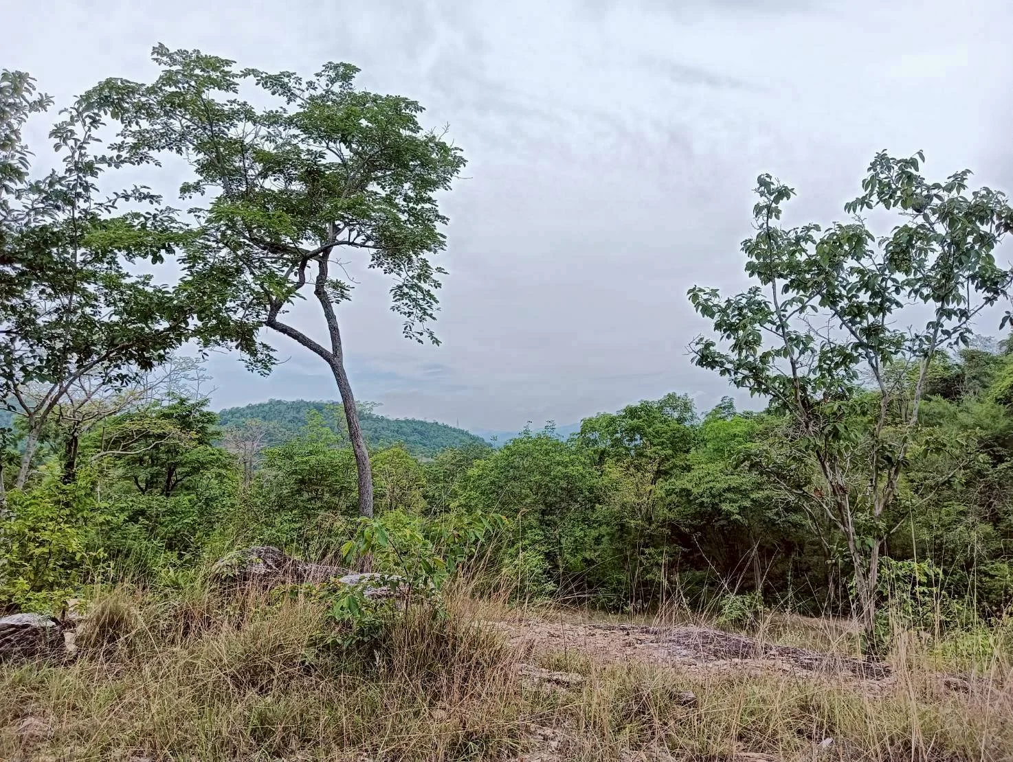 ZSK040 ขายที่ดิน 18 ไร่   วิวภูเขา ทำเลสวย อยู่ใกล้ชุมชน  หัวหิน   ประจวบคีรีขันธ์ - image 4