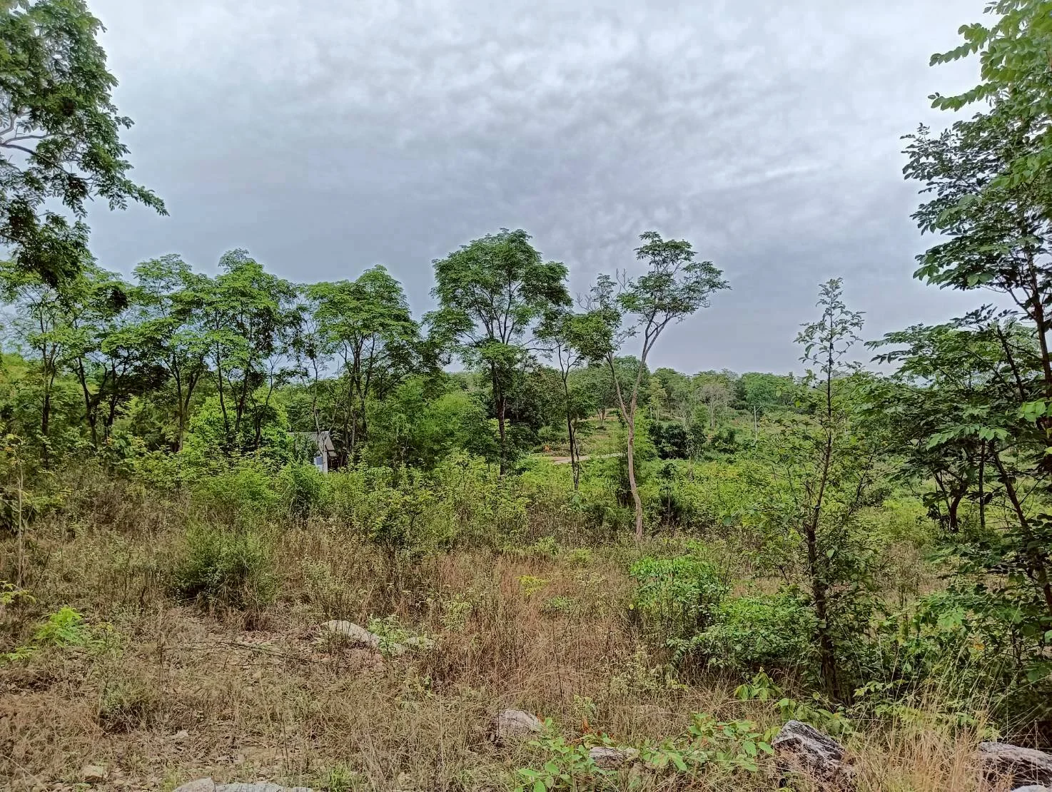 ZSK040 ขายที่ดิน 18 ไร่   วิวภูเขา ทำเลสวย อยู่ใกล้ชุมชน  หัวหิน   ประจวบคีรีขันธ์ - image 5