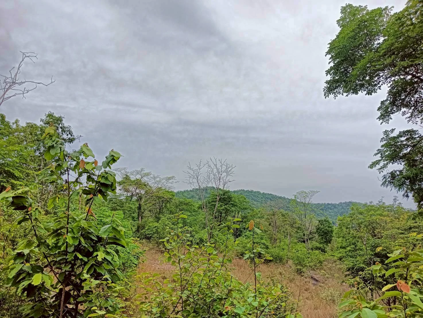 ZSK040 ขายที่ดิน 18 ไร่   วิวภูเขา ทำเลสวย อยู่ใกล้ชุมชน  หัวหิน   ประจวบคีรีขันธ์ - image 6