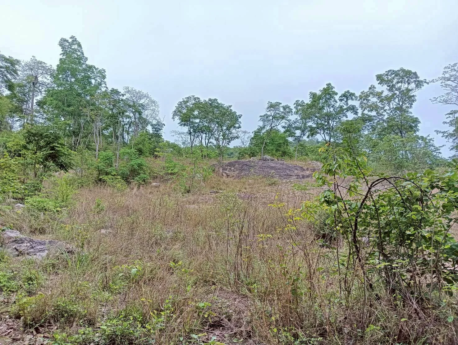 ZSK040 ขายที่ดิน 18 ไร่   วิวภูเขา ทำเลสวย อยู่ใกล้ชุมชน  หัวหิน   ประจวบคีรีขันธ์ - image 7