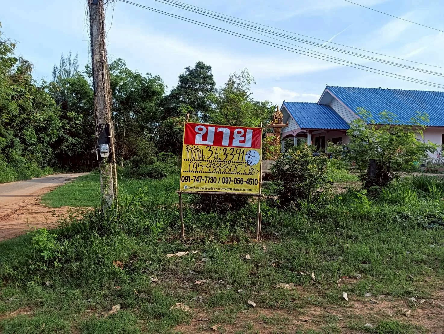 ZSK041 ขายที่ดินไร่สับปะรด  3 ไร่  ทำเลสวย ติดภูเขา ปากน้ำปราณ  ปราณบุรี  ประจวบคีรีขันธ์   - image 9