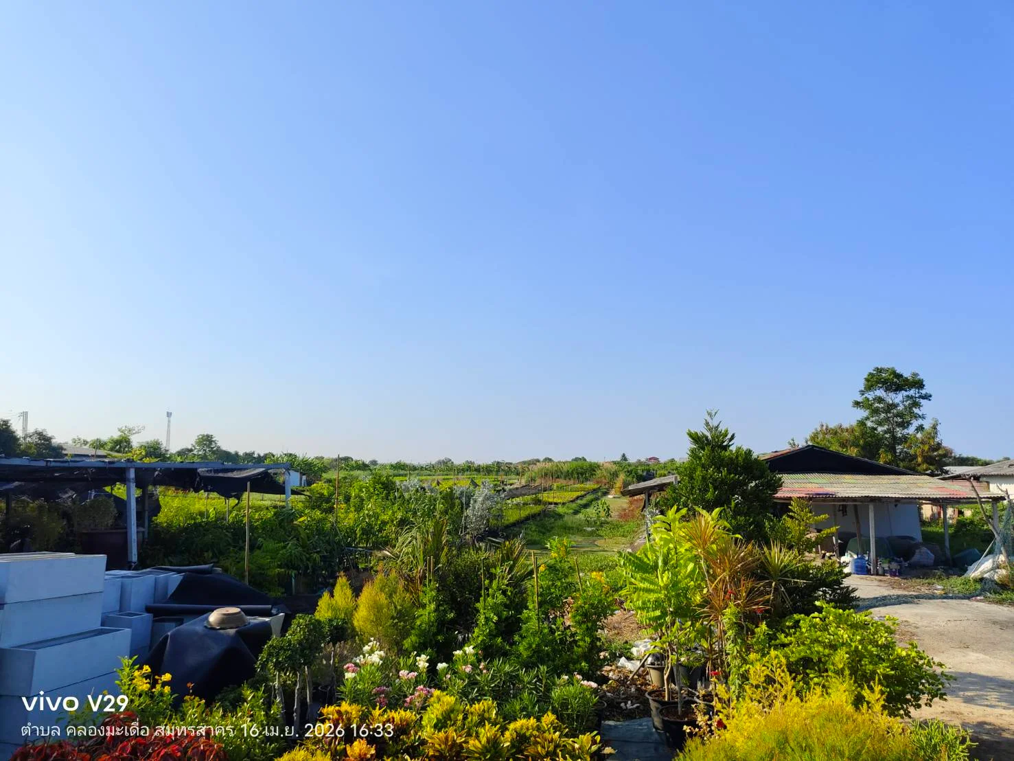 ที่ดินแปลงใหญ่ ติดถนน กระทุ่มแบน สมุทรสาคร - image 3