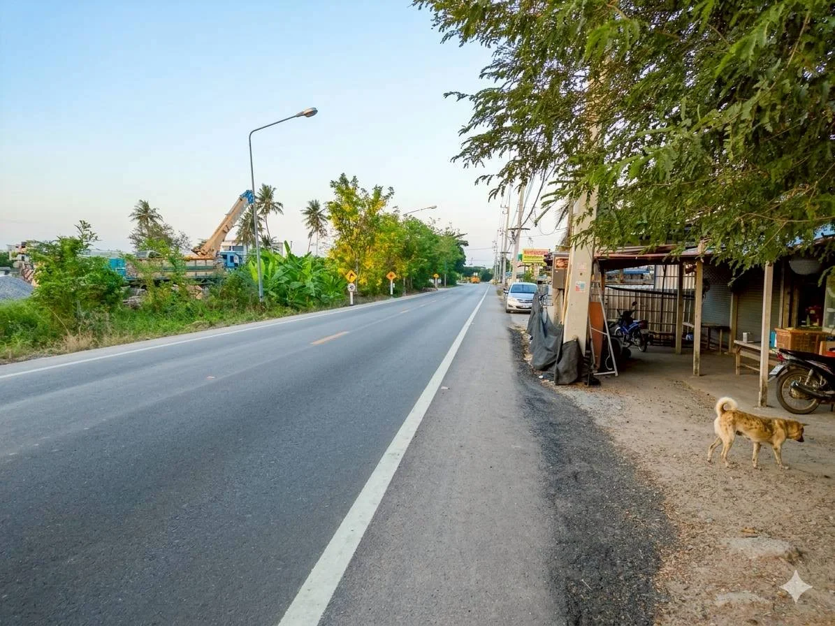 ขายที่ดินทำเลทอง ต.บางช้าง อ.สามพราน (ติดถนนคลองใหม่) เนื้อที่ 5-2-68 ไร่ - image 5